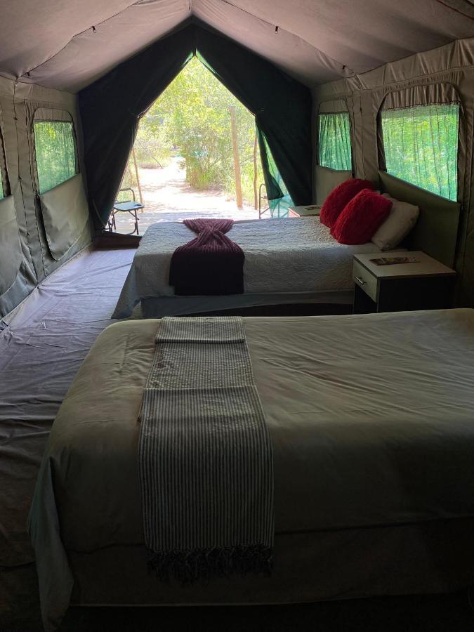 Luxe tent Mzsingitana Tented Camp