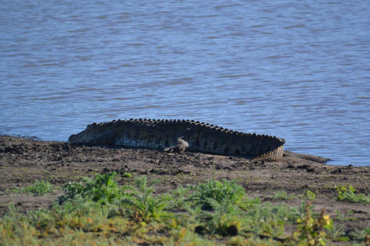 Mzsingitana Tented Camp Hoedspruit