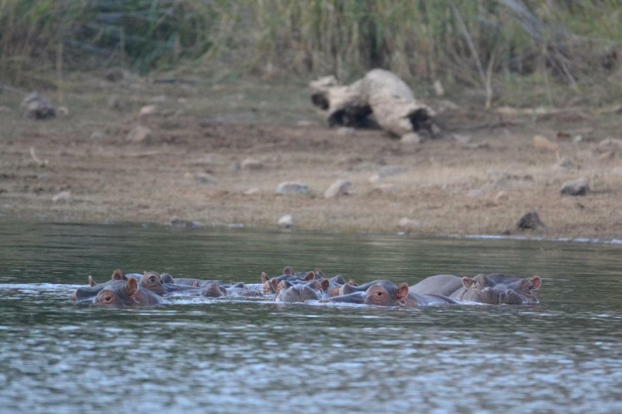 Mzsingitana Tented Camp * Hoedspruit